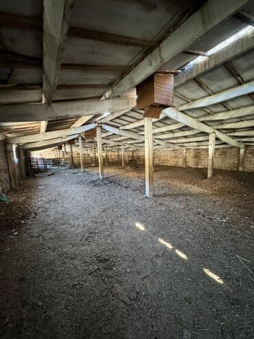 продаю дом сокулукский район: Продаю Ферма КРС, 110 соток, Не действующий, Электричество — 5