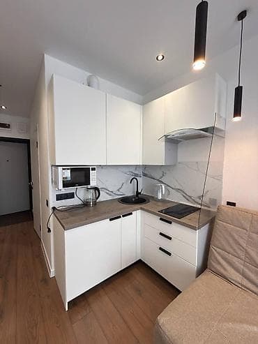 квартира на месяц 3000: Студия, Риэлтор, Без подселения, С мебелью частично — 1