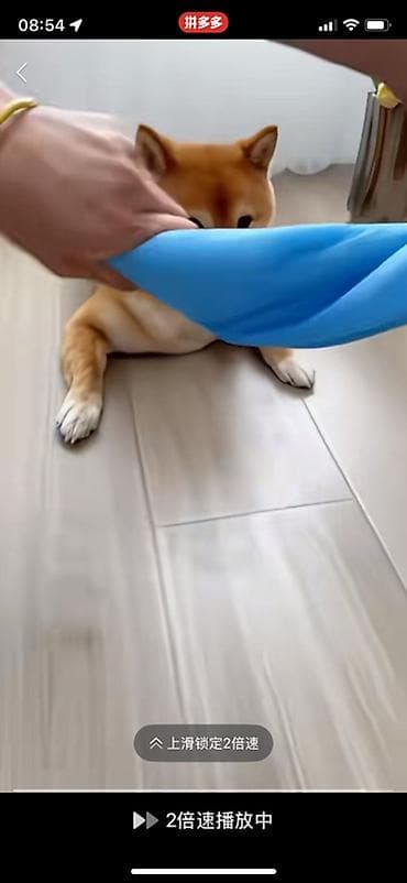 щетка для уборки: Гигиенические пелёнки для собак (одноразовые) - Быстрое впитывание — 4