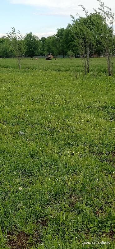 ft: Морской сухогрузный контейнер 40 футов (High Cube не указан, визуально — 4