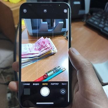 x iphone: IPhone X, Серебристый — 4