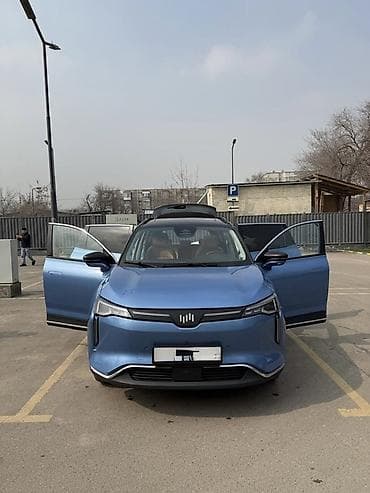 Weltmeister: Weltmeister W6, 2021 г., 100000 км, Передний, В наличии — 4