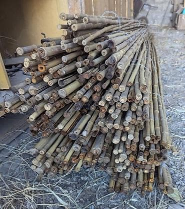 Натуральные тростниковые/бамбуковые палки. Длина 3,5 - 4,8м. Диаметр at lalafo.kg Натуральные тростниковые/бамбуковые палки. Длина 3,5 - 4,8м. Диаметр