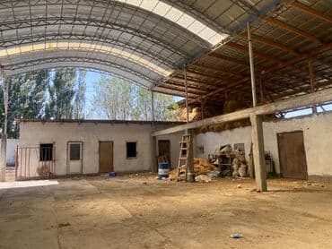 сдаю дом без хозяин: Сдается помещение 1500тыс КВ м имеются 3 сарая 1навес 1конюшня — 1