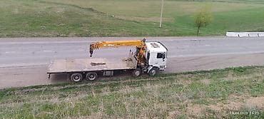 daf фура: Стрела 12 м, 12 т, Борт 20 кг — 7