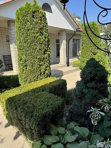 газон дорожка: Ландшафтный участок с мощеными дорожками и декоративными насаждениями — 1