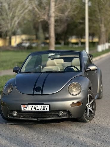 Volkswagen Cabrio: 2003 г., 2 л, Автомат, Бензин, Кабриолет
