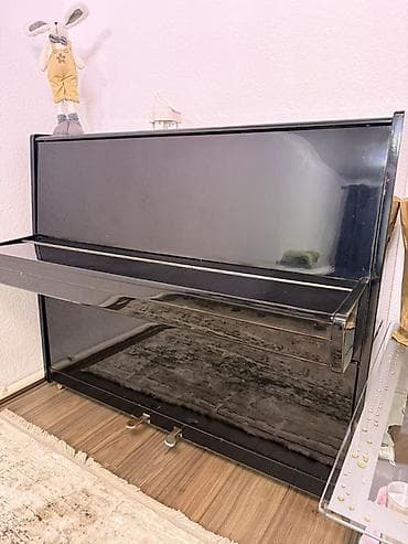 Фортепиано «Чайка» (вертикальное, акустическое) - Корпус