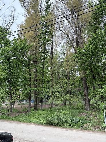 узген квартира: 2 комнаты, 50 м², Элитка, 1 этаж — 2