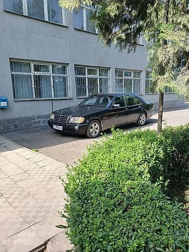 портэр 2: Mercedes-Benz S-Class: 1992 г., 3.2 л, Автомат, Газ, Седан — 1