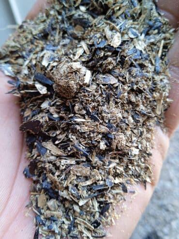 собаки рынок в бишкеке цены: Продаю рыбную муку два вида Российская и Казахстанская подсолнечный — 3