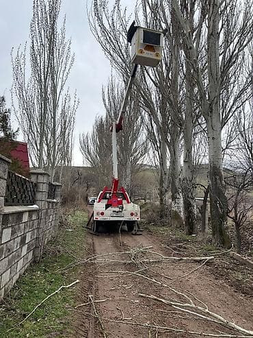 iphone 13mini: 🚚 АВТОВЫШКА В АРЕНДУ | БИШКЕК И ПРИГОРОД 🚚 Предлагаем услуги — 4