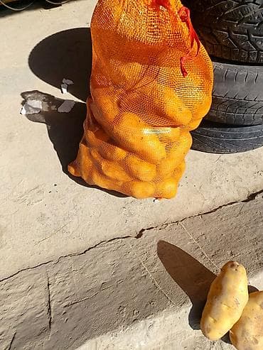 мешки для картошки купить: Картошка Оптом — 1