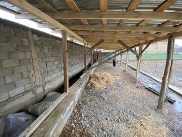 продажа домов в красной речке: Дом, 6 м², 5 комнат, Свежий ремонт — 2