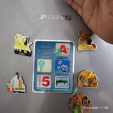 coros pace 3: Холодильник Pozis, Двухкамерный — 1