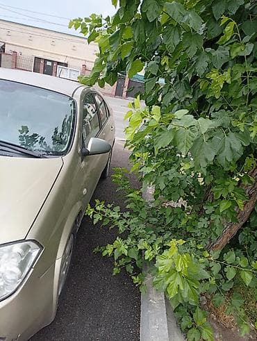 terrano 2: Nissan Primera: 2002 г., 1.8 л, Механика, Бензин, Седан — 4