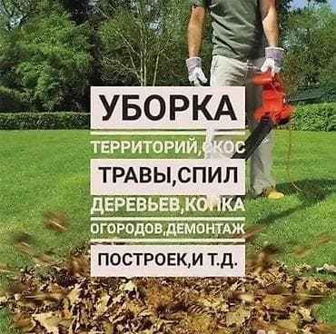 пересадка дерева: Уборка территории, Уход за деревьями — 1