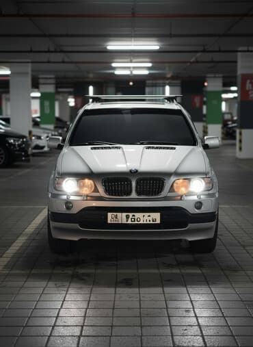 BMW X5: 2002 г., 4.4 л, Автомат, Бензиновая, Кроссовер