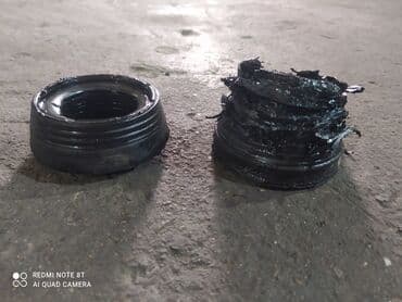 бакту долонотуу: С выездом — 12