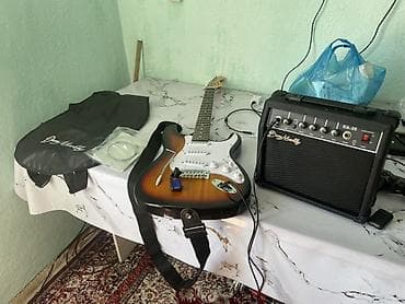Электрогитарный комплект Don Martin - Электрогитара типа Strat с — 1