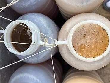 Полуфабрикаты: Токтогульский горный мёд
чистый,натуральный
оптом 6500 — 7