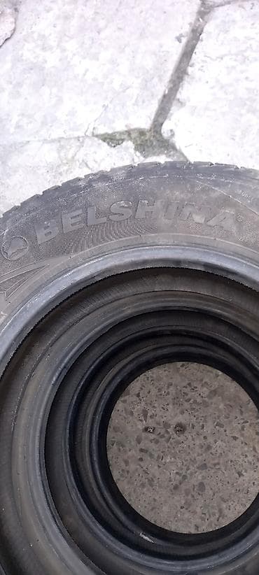 evro r: Колеса в сборе 195 / 65 / R 15, Зима, Литые, отверстий - 5 — 2