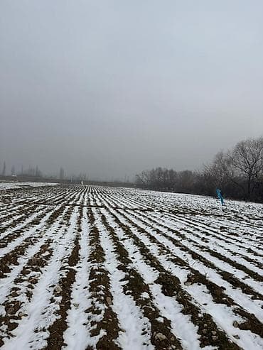 алексеевка участок: 80 соток, Для сельского хозяйства, Красная книга — 9
