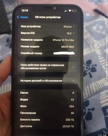 mac safe: IPhone 12 Pro Max, Б/у, 256 ГБ, Pacific Blue, Защитное стекло, Чехол, 88 % — 6