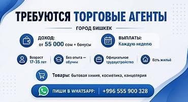 Продажи, работа с клиентами: Вакансия: торговые агенты (г. Бишкек) - Доход: от 55 000 сом + бонусы — 1