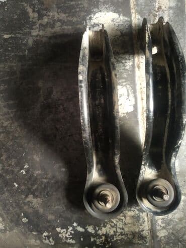 разговаривающий попугай купить: Хонда элизион плавающий речаг — 1