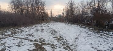 покупаю дом: 8 соток, Для сельского хозяйства, Красная книга — 10