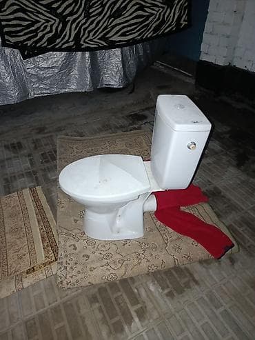 куханая мойка: СКУПАЕМ УНИТАЗ И РАКОВИНЫ И КОВРЫ — 5