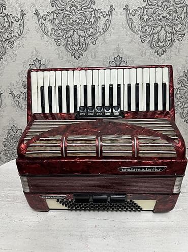 головка звукоснимателя: Аккордеоны — 2