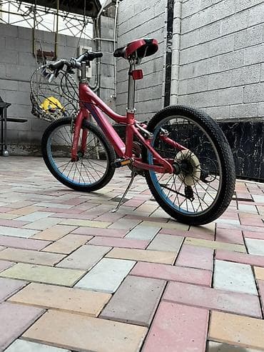 Балдар үчүн велосипеддер: Балдар үчүн велосипед, 2 дөңгөлөктүү, 6 - 9 жаш, Кыз үчүн — 2