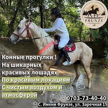 Конные прогулки и обучение верховой езде FRUNZE - Прогулки на