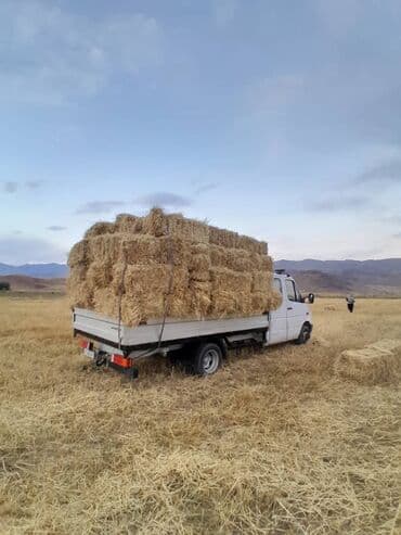 столешницы для кухни в бишкеке цены: Портер, Переезд, перевозка мебели, По региону, По стране, По городу, с грузчиком — 1