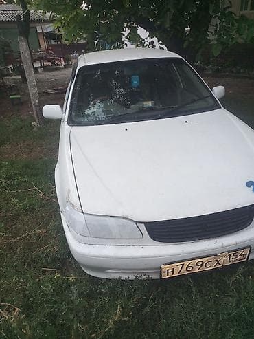 палировка авто: Toyota Corolla: 2000 г., Автомат, Седан — 2