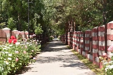 аренда азия молл: 2 комнаты, 37 м², Элитка, 5 этаж, Евроремонт — 5