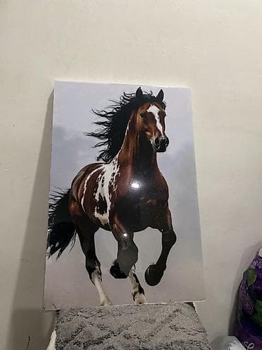 Постер/картина «Галопирующий конь» - Реалистичное фото лошади в