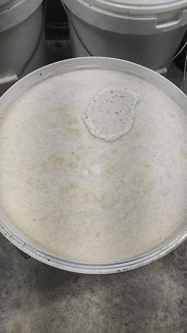 мед ат башинский: Натуральный Ат-Башинский белый (крем) мёд в прозрачной емкости — 3