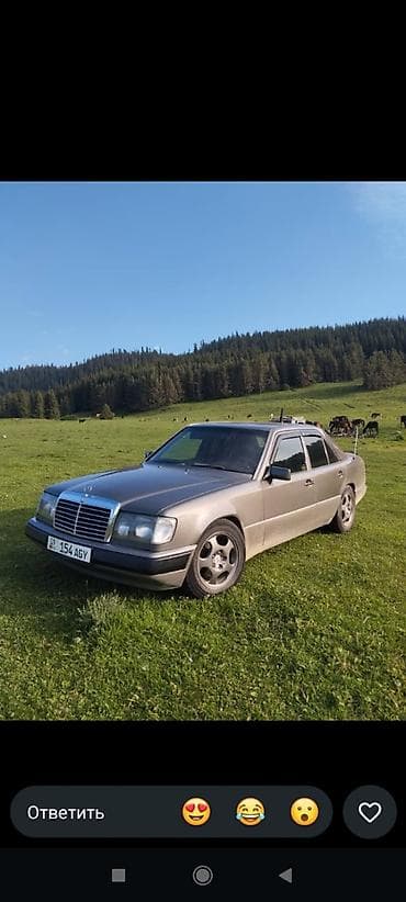 w124 дерево: Mercedes-Benz W124: 1992 г., 2.2 л, Механика, Бензин, Седан — 1