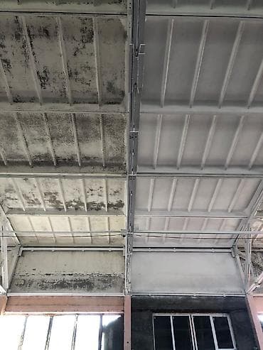 Покраска стен, Покраска потолков, Покраска окон, На масляной основе, На водной основе, Больше 6 лет опыта