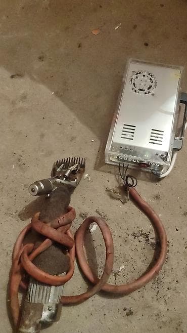 куры живые: Электрическая овечья машинка для стрижки с блоком питания — 2