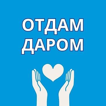 заказать бесплатный айфон: Отдам даром Женские вещи: куртка, пальто, для повседневной носки вещи — 1