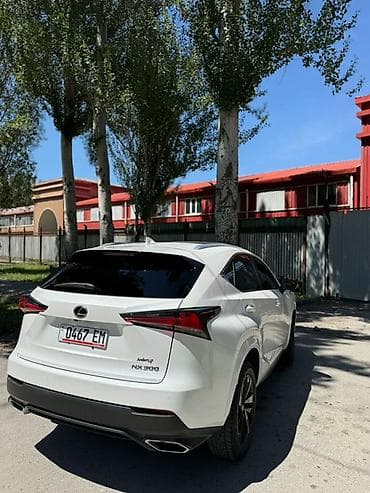 eclipse cross: Lexus NX: 2020 г., 2 л, Автомат, Бензин, Кроссовер — 5