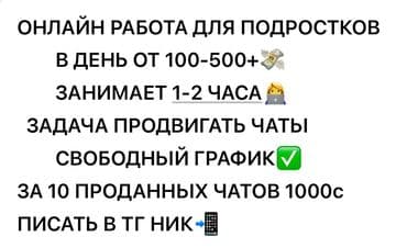 преподаватель компьютерной грамотности: Предлагается онлайн-работа для подростков с гибким графиком. Задача — 1