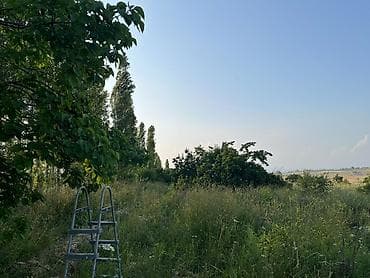 green hill: 300 соток, Договор купли-продажи — 2