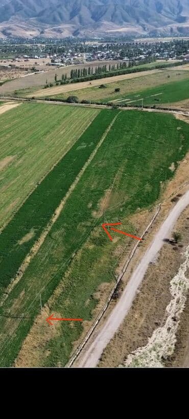 участок бает: 70 соток, Для бизнеса, Договор купли-продажи — 4