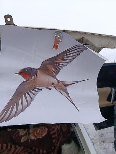 грязезащитные коврики бишкек: Наклейка на машину 
между дверями — 6