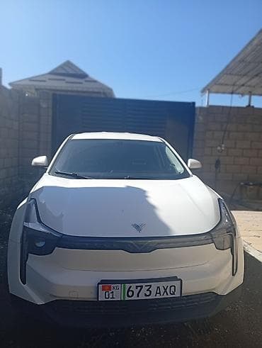 электро мобильный: Weltmeister 2022 г. — 4